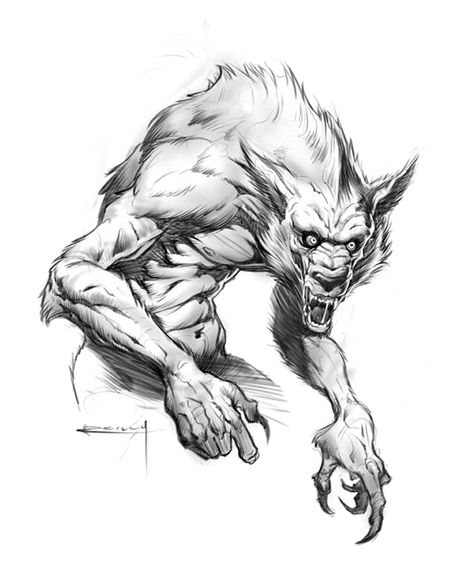 Wolfman - Patrick Reilly Werewolf Tattoo, Werewolf Drawing, 16 Tattoo, Wolf Man, Man Drawing, Theme Tattoo, Werewolf Art, Vampires And Werewolves, Classic Monsters