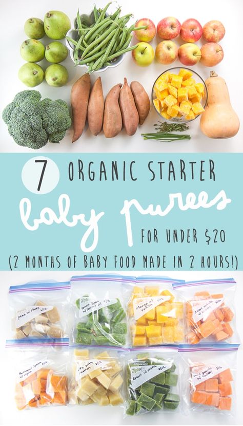 4 Month Baby Food, Baby Food Recipes Stage 1, Baby Purees, Diy Baby Food, Easy Baby Food Recipes, Healthy Baby Food, Baby First Foods, Baby Foods, Baby Puree Recipes