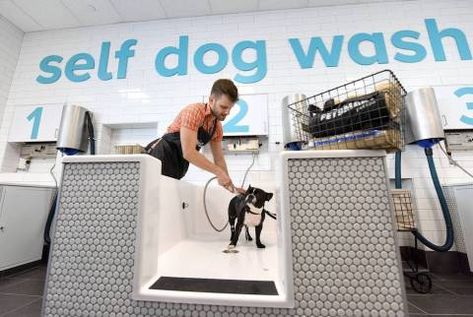 Self Wash Dog Wash, Self Dog Wash, Self Serve Dog Wash, Self Service Dog Wash, Pet Lifestyle, Indoor Dog Park, Dog Station, Pet Store Design, Pet Store Ideas