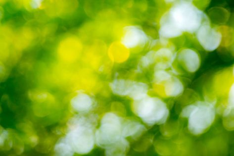 Natural green bokeh abstract background ... | Premium Photo #Freepik #photo #background #pattern #tree #abstract Blurred Nature Background, Mushroom Background, Bamboo Background, Forest Bedroom, Tree Abstract, Green Leaf Background, Certificate Background, Blur Photography, Tree Textures