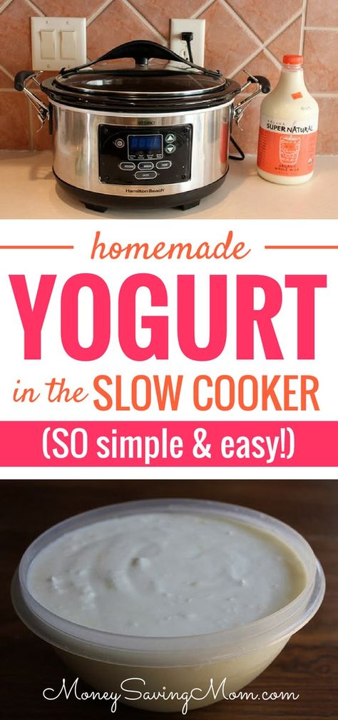 Slow Cooker Thai, Homemade Yogurt Recipes, Homemade Presents, Thai Basil Chicken, Creamy Yogurt, Yogurt Recipe, Yogurt Maker, Cook Smarts, Basil Chicken