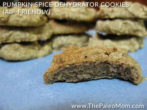 Pumpkin Spice Dehydrator Cookies (AIP-friendly) Dehydrator Cookies, Dehydrated Cookies, Dehydrated Pumpkin, Aip Pumpkin, Paleo Pumpkin Cookies, Aip Cookies, Paleo Pumpkin Spice, Pumpkin Coconut, Paleo Mom