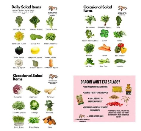 Bearded Dragon Salad, Bearded Dragon Diet, Bearded Dragon Care, Dandelion Leaves, Turnip Greens, Eat Salad, Mustard Greens, Bee Pollen, Acorn Squash