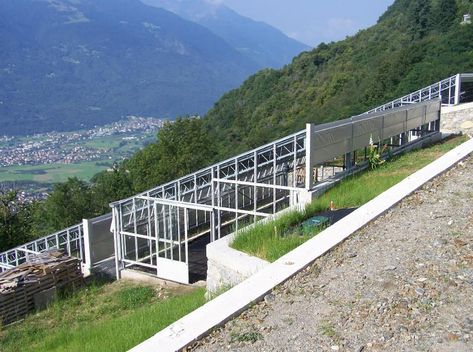 Greenhouse On Slope, Sunroom Greenhouse, House On Slope, Underground Greenhouse, Backyard Adventure, Potager Garden, Permaculture Gardening, Permaculture Design, Urban Homesteading