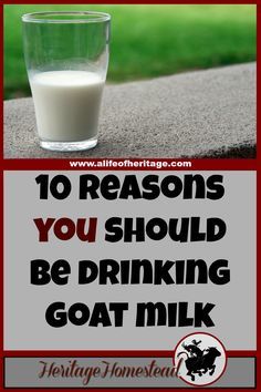 Goats Milk Benefits, Puppy Meals, Goat Farming Ideas, Overnight Oats With Milk, Homestead 101, Mini Farms, Goat Milk Benefits, Benefits Of Goat Milk, Milk Ideas