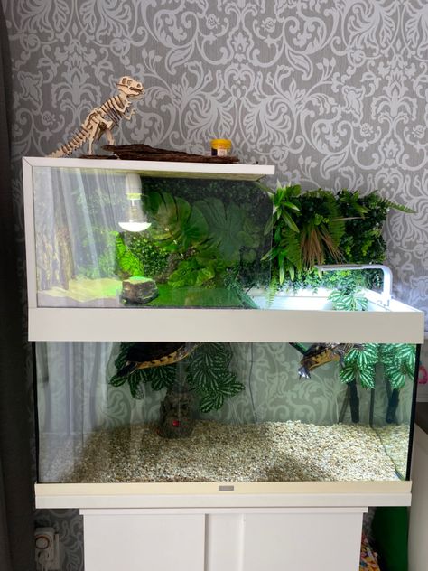 Turtle Setup Ideas, Water Turtle Tank Ideas, Pet Turtle Tank, Turtle Aquarium Ideas, Aquatic Turtle Tank Ideas, Turtle Tank Setup Ideas, Small Turtle Tank, Turtle Setup, Turtle Basking Area