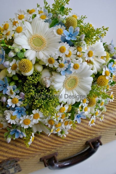 Brides Bouquet White, Daisy Bouquet Wedding, Bride Bouquets White, Daisy Wedding Flowers, Bouquet Bride, Summer Wedding Bouquets, Daisy Wedding, Daisy Bouquet, Brides Bouquet