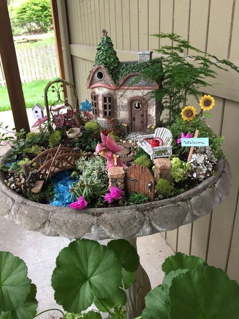 Fairy Garden Pictures, Fairy Garden Design Ideas, Fairy Garden Containers, Fairy Garden Pots, Indoor Fairy Gardens, Fairy Garden Ideas, Fairy Garden Designs, Fairy Garden Crafts, Bird Bath Garden