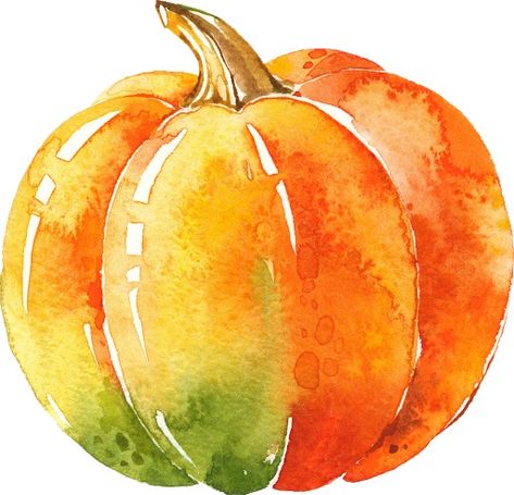 Watercolor Pumpkins Autumn, Pumpkins Watercolor, Pumpkin Drawing, Watercolor Fruit, Watercolor Lessons, Diy Watercolor Painting, Watercolor Pumpkins, Pumpkin Art, Fall Watercolor