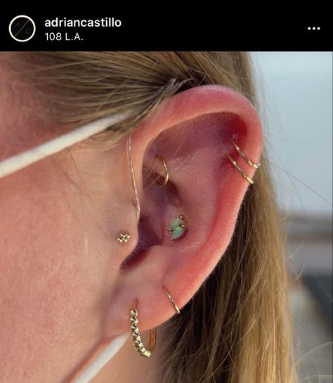 Ear Piercings Pointy Ears, Pointed Ear Piercings, Conch Piercing Styling, Conch Piercing Combinations, Conch Jewellery, Conch Stud Piercing, Conch Piercing Stud, Ear Curation, Conch Stud