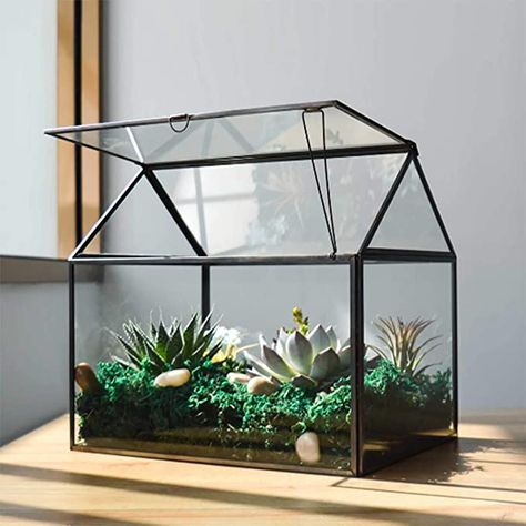 Amazon.com: Large Glass Plant Terrarium – House Succulent Glass Terrarium Kit with Lip Glass Greenhouse Terrarium for Plant 12.26X9.15X10.9inch (Black 2): Kitchen & Dining Greenhouse Terrarium, Terrarium House, Large Glass Terrarium, Large Terrarium, Glass Greenhouse, House Planter, Indoor Greenhouse, Plant Terrarium, Terrarium Containers