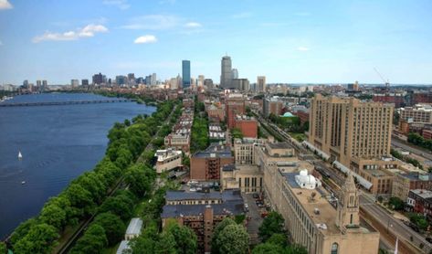 Boston University is a huge school, but there are some things that unite even the most unique of us Terriers. Here, have 20 of 'em! Boston University Dorm, Boston University Campus, River Time, Spring Break College, Spring Break Destinations, Boston Skyline, College Aesthetic, Boston University, Boston Terrier Puppy