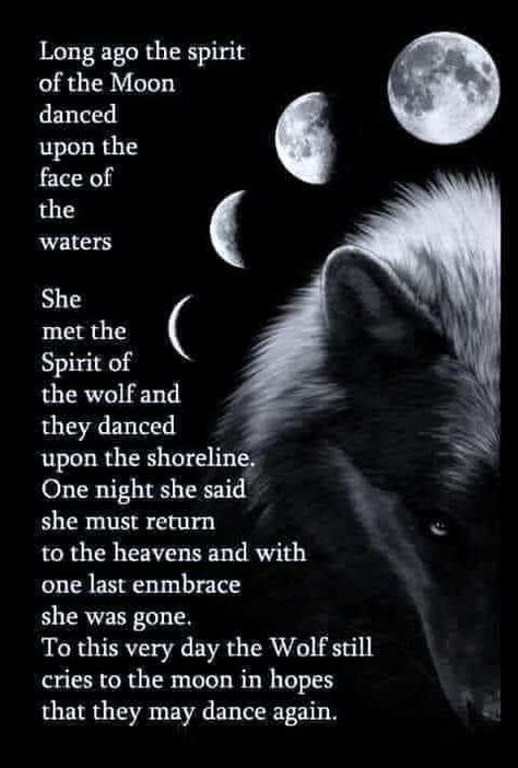 Wolf Poem, Wolf Pack Quotes, Lone Wolf Quotes, Native American Prayers, Native American Wolf, Moon Quotes, Wolves And Women, Native American Wisdom, Moon Dance