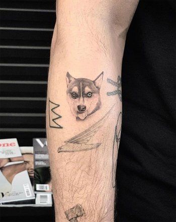 Joe Jonas Joe Jonas And Sophie Turner, Alaskan Klee Kai, Different Colored Eyes, Kellan Lutz, Joe Jonas, Celebrity Tattoos, Tattoos Gallery, Dog Tattoo, Sophie Turner