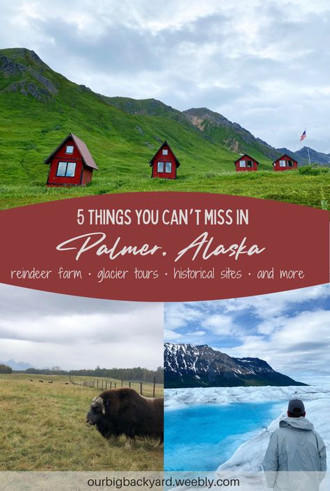 Palmer Alaska Things To Do, Reindeer Farm, Alaska Day, Palmer Ak, Palmer Alaska, Wasilla Alaska, Alaska Road Trip, Alaska Winter, Travel Alaska