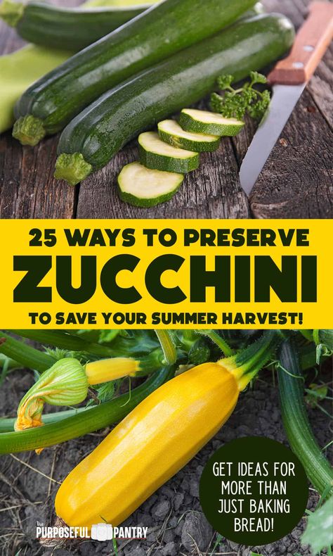 Preserve Zucchini, Preserving Zucchini, Canning Zucchini, Dehydrating Food Storage, Harvest Storage, Freezing Zucchini, Freezing Vegetables, Dehydrated Vegetables, Storing Fruit