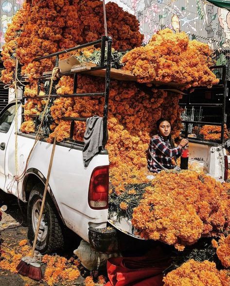 SLOW ROADS on Instagram: “Marigolds, Mercado de Jamaica, Mexico City, Mexico, Courtesy of @josephowen #slowroads - - - - - #marigold #mexico #mexicocity #archdaily…” Chicana Style, Mexico Style, Mexico Culture, Mexican Girl, México City, Flower Therapy, We Are The World, Mexican Culture, Instagram Worthy