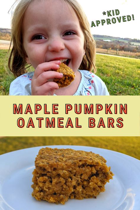 Pumpkin Oatmeal Bars, Pumpkin Oatmeal Breakfast, Breakfast Bar Recipe, Baked Pumpkin Oatmeal, Oatmeal Bars Recipes, Maple Pumpkin, Pumpkin Oatmeal, Fall Breakfast, Oatmeal Bars