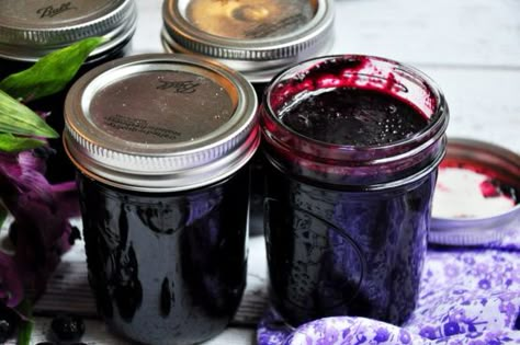 Blueberry Jam | Food.com Blueberry Lemon Jam, Blueberry Rhubarb Jam, Blueberry Rhubarb, Pectin Recipes, Jam Maker, Lemon Jam, Blueberry Jam Recipe, Rhubarb Jam, Freezer Jam