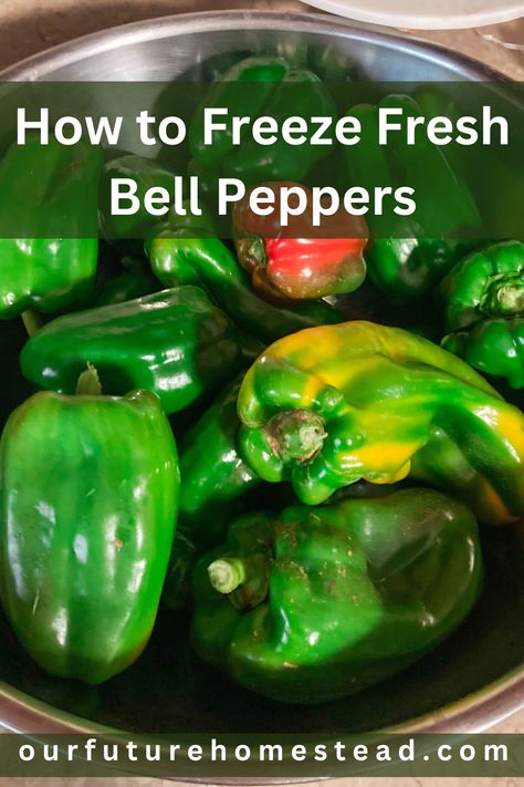 How to Freeze Bell Peppers - Our Future Homestead Freeze Bell Peppers, Freezing Bell Peppers, Bell Pepper Recipes, Our Future, Garden Recipes, Fermenting, Bell Peppers, Frozen Food, Preserving Food