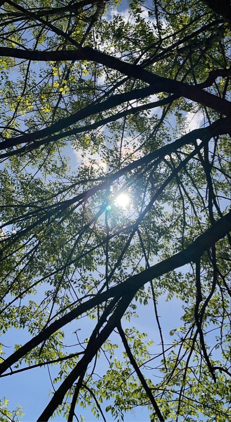 Bright Sunlight Photography, Dry Feet Remedies, Sun Through Trees, Sun Shining Through Trees, Sunlight Through Trees, Forest Sunlight Aesthetic, Sunrays Through Trees, Sunlight Through Trees Aesthetic, Sunlight Photography