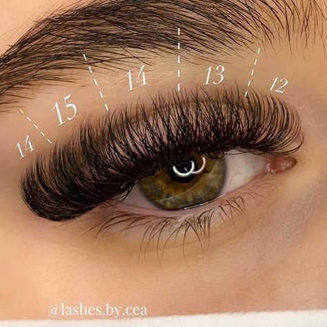 Diy Individual Lashes, Easy Skincare Routine, Lash Maps, Natural Fake Eyelashes, Best Lash Extensions, Lashes Fake Eyelashes, Lashes Tutorial, Eyelashes Extensions, Lash Extension Kit