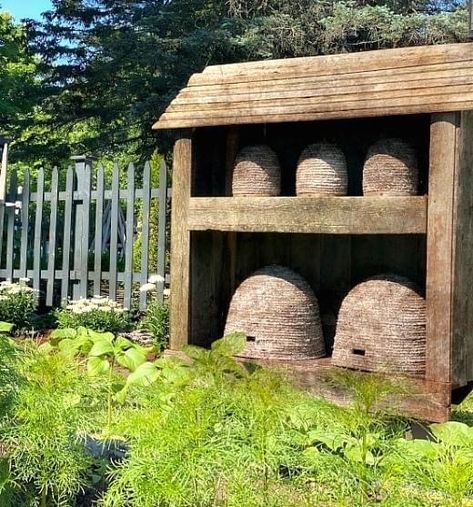 Bee Skep House, Primitive Garden Ideas, Garden Renovation Ideas, Primitive Houses, Garden Cloche, Westbury Gardens, Bee Houses, Bee Skep, Bee House