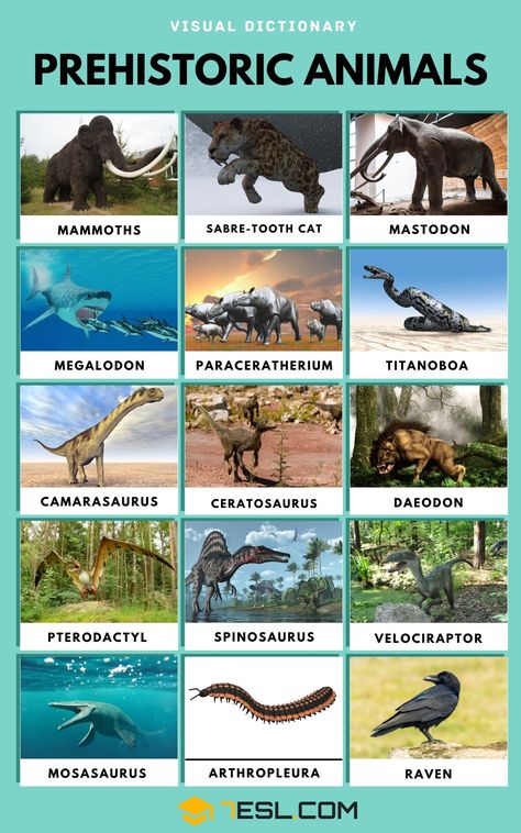 Prehistoric Animals Rarest Animals, Prehistoric Animals Art, Prehistoric Birds, Evolution Of Dinosaurs, Mesozoic Era Animals, Extinct North American Animals, Carnivorous Animals, Animals Name In English, Dinosaur History