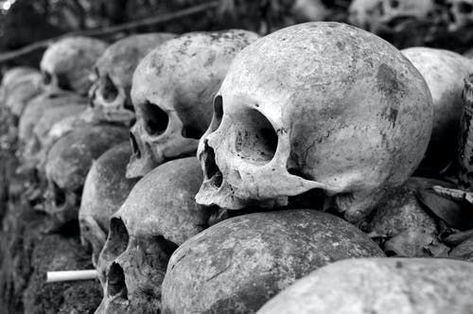 Grey Skulls Piled on Ground Dark Tourism, Rigor Mortis, Vladimir Lenin, John Donne, Angel Number Meanings, Shadow Pictures, British Library, High Life, Balinese