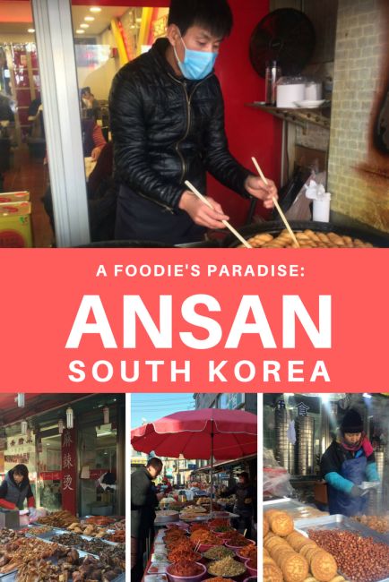 Ansan Multicultural Street is a hidden South Korean foodie gem and offers cheap, authentic delicacies from around the World. Ansan South Korea, Street In Korea, Travel Korea, Seoul Korea Travel, Korea Trip, Ansan, Food Street, Travel Asia, Korea Travel