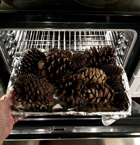 How to Prepare Pine Cones for Crafts - aDOORable Deco Decor How To Prep Pinecones For Crafts, Decorating Pinecones For Christmas, Bake Pinecones For Crafts, Drying Pinecones In Oven, How To Bake Pinecones For Crafts, How To Dry Out Pine Cones, Pine Tree Clippings Decor, How To Prepare Pine Cones For Crafting, Baking Pinecones How Long To