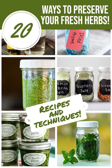 Preserve Herbs, Freezing Herbs, Preserving Herbs, Garden Recipes, Cleaners Homemade, Fresh Mint, Drying Herbs, Arugula, Fresh Herbs