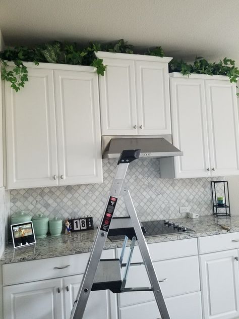 Greenery In Kitchen Cabinets, Greenery For Top Of Kitchen Cabinets, Up Above Kitchen Cabinet Decor, Above Cabinet Decor Kitchen Greenery, Plants On Top Of Kitchen Cupboards, Greenery On Top Of Kitchen Cabinets, Greenery On Kitchen Cabinets, Plants Over Kitchen Cabinets, Plants On Kitchen Cabinets