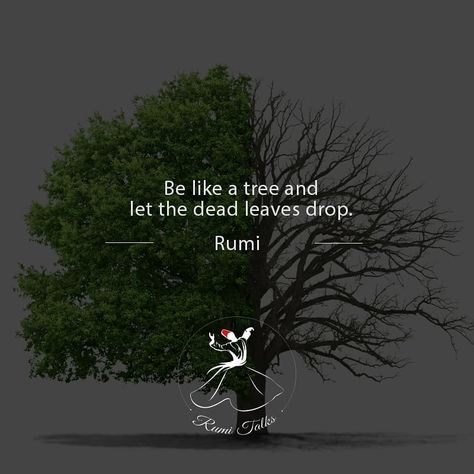 Rumi Talks on Instagram: “💙 - Jalaluddin Rumi . . . . . #rumi #rumiquotes #quotes #goodquotes #motivation #motivationalquotes #spiritualawakening #spiritual #sufi…” Maulana Rumi Quotes In English, Rumi Quotes On Nature, Quotes Rumi, Maulana Rumi, Rumi Quotes Soul, Quotes Soul, Rumi Poetry, Jalaluddin Rumi, Fb Quote