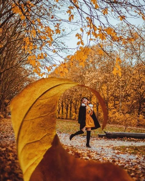 Autumn Photography Portrait, Fall Photo Shoot Outfits, Photo Halloween, Fall Shoot, Fall Portraits, Creation Photo, Nature Photoshoot, Shotting Photo, Photographie Portrait Inspiration