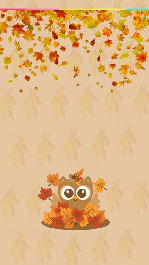 Fondos pantalla Cute Fall Backgrounds, Thanksgiving Iphone Wallpaper, Image Girly, Owl Background, Fall Backgrounds Iphone, Thanksgiving Background, Owl Wallpaper, Thanksgiving Wallpaper, Cute Fall Wallpaper