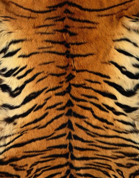 tiger skin Tiger Fur, Fur Texture, Tiger Skin, Animal Print Wallpaper, Chinese Patterns, Animal Skin, Tiger Print, Patterns In Nature, Animal Pattern