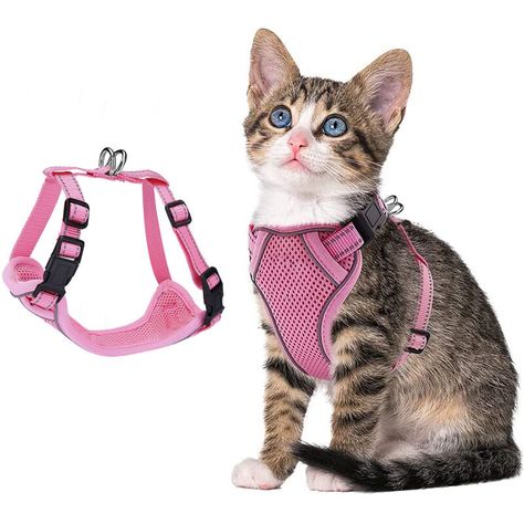 Animalerie > Chien > Collier, laisse et harnais pour chien > Harnais pour chien LITZEE, Taille Précise pour Les Petits Chats: Tour de cou: 22-31cm, tour de poitrine: 29-44cm. N'hésitez pas à nous faire savoir si vous avez besoin d'aide pour trouver la bonne taille. Contenu de la livraison: 1 × harnais pour chat et 1 × laisse en nylon (150cm) Escape? Pas Plus!: Ce harnais pour chat avec laisse comprend la sangle magique et la boucle arrière pour une fermeture sûre pour empêcher le chat de glisser Best Cat Harness, Kitten Harness, Small Dog Harness, American Shorthair, Cat Harness, Dog Vest, Pet Harness, H Style, Injury Prevention