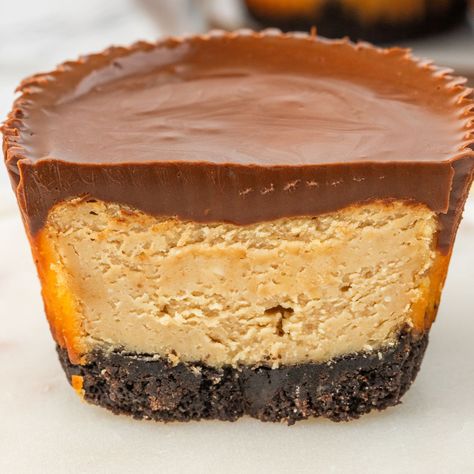 Peanut Butter Cheesecake Bites Keto Peanut Butter Cheesecake Bites, Mini Peanut Butter Cup Cheesecake, Peanut Butter Caramel Mini Cheesecakes, Mini Chocolate Peanut Butter Cheesecakes, Brownie Bottom Peanut Butter Cheesecake, Cheesecake Bites Recipe, Oreo Cookie Crust, Peanut Butter Cheesecake, Layered Desserts