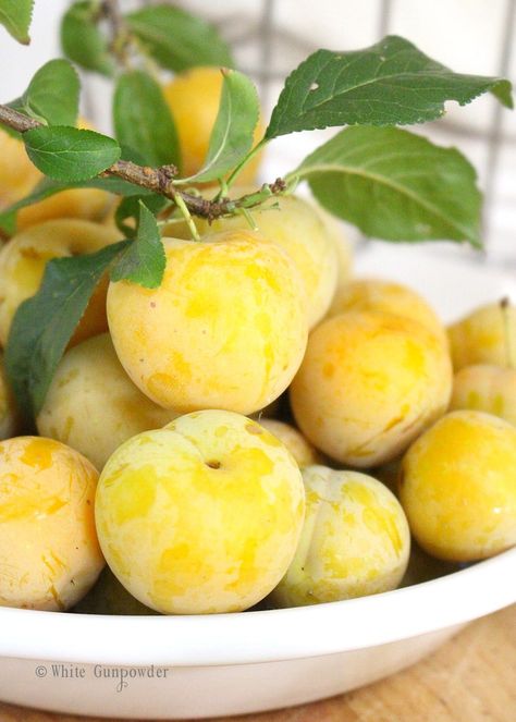 Yellow Plums | White Gunpowder Yellow Vegetables, Prune Fruit, Yellow Plums, Plum Fruit, White Plum, Tart Pan, Plum Cake, Fruit Photography, Stone Fruit