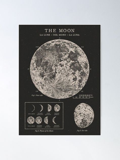 "Moon Phases Vintage Poster" Poster by backtoblackttt | Redbubble Celestial Poster, Vintage Celestial, Moon Phases Art, Bedroom Stuff, Astronomy Art, Dorm Inspo, Vintage Moon, Moon Poster, Christmas Feeling