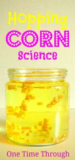 Hopping Corn Science Activity - One Time Through Farm Preschool, Thanksgiving Preschool, 13 November, Science Activity, Science Activities For Kids, Fair Projects, Kindergarten Science, Science Fair Projects, Preschool Science