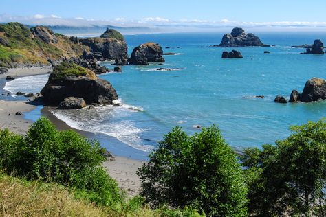 Trinidad California, Small Beach Town, Moonstone Beach, Forest Cabin, Beach Road, California Beach, Scenic Drive, Coastal Towns, Whale Watching