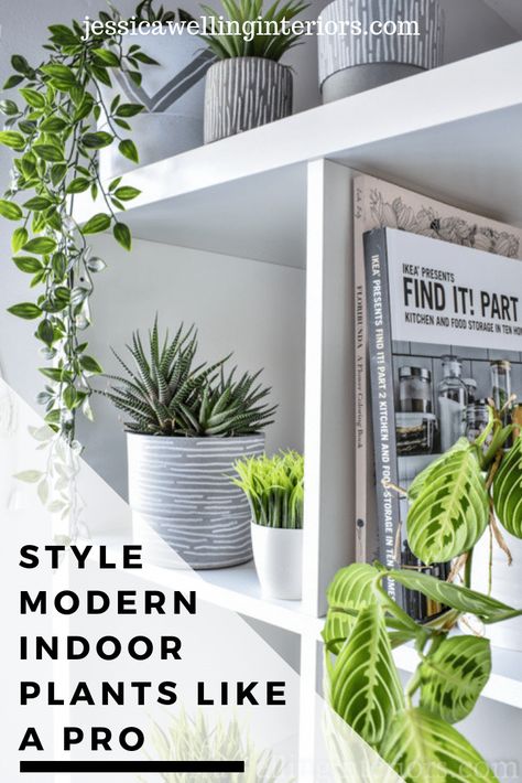 Modern houseplants are a must-have! Learn to style indoor plants like a pro with these 6 simple tips on pots, placement and plant choice. Bookshelves Hanging, Plant Obsession, Modern Decor Accessories, Outdoor Greenery, Beauty Bedroom, Potted Garden, Plant Styling, Farmhouse Style Lighting, Houseplant Care