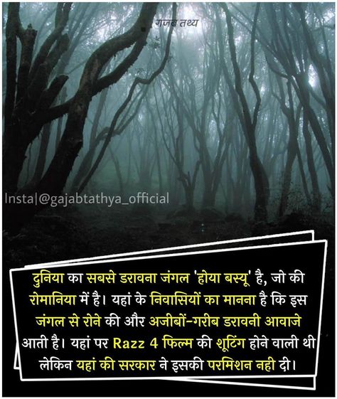 Did You Know Horror Facts Hindi, Horror Facts Posts In Hindi, Horror Facts, Fun Facts About Earth, Physics Facts, Technology Facts, Facts About Earth, Mirror Universe, Youtube Facts