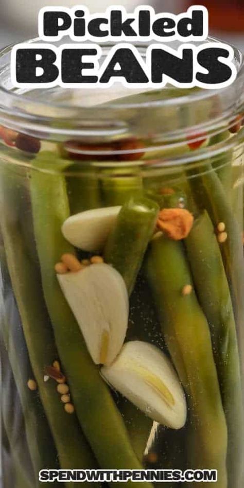 Try these pickled green beans that are quick and easy to make. Just put them in a jar with some pickling spices and garlic, then top with homemade brine. Store these in the refrigerator for any time a quick crunchy and low-calorie snack is called for. #pickledgreenbeans #spendwithpennies #nocanning #howto Pickled Green Bean Recipes, Pickling Spices, Pickled Green Beans, Dilly Beans, Quick Pickled, Refreshing Snacks, Salad Toppers, Refrigerator Pickles, Pickling Spice