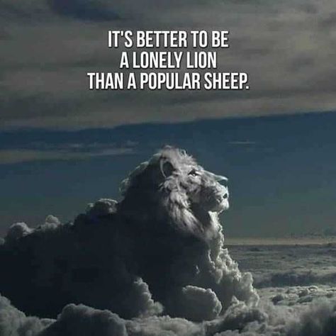 67 Great Inspirational Quotes Motivational Words To Keep You Inspired #inspirational #motivational #inspirationalquotes #inspiring #quotes #life #lifequotes #motivate #inspirationallifequotes Quotes Life Lessons, A Lion, Quotes Life, A Quote, Life Lessons, Sheep, Lion, Quotes