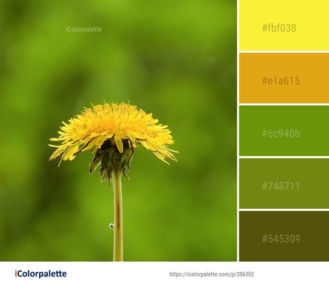 Grass Green Color Palette, Dandelion Color Palette, Grass Images, Dandelion Color, 2021 Aesthetic, Color Palette Ideas, Color Combinations For Clothes, Palette Ideas, Flowers Color