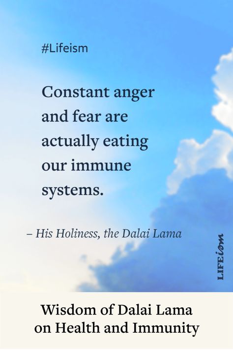 Dali Lama Quotes, Quotes On Health, Aspiration Quotes, His Holiness The Dalai Lama, Lama Quotes, Dalai Lama Quotes, The Dalai Lama, World Health Day, Short Article