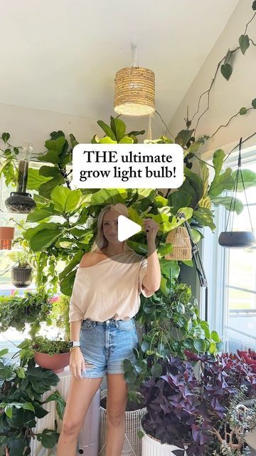 Samantha Hermann on Instagram: "Comment ‘LIGHT’ for the link & a special discount code just for house + plant friends! ✨  GAME CHANGER 🙌🏻   Footcandles readings brightest setting to lowest setting: ~1800 ~1200 ~800 ~400  This would work so well for a large variety of plants!" House Plant Grow Light Setup, Plant Light Ideas, Plant Lights Indoor Setup Living Room, Indoor Plant Lighting Ideas, Grow Light Set Up, Plant Lights Indoor Setup, Plant Corner Ideas, Grow Light Ideas, Plant Friends